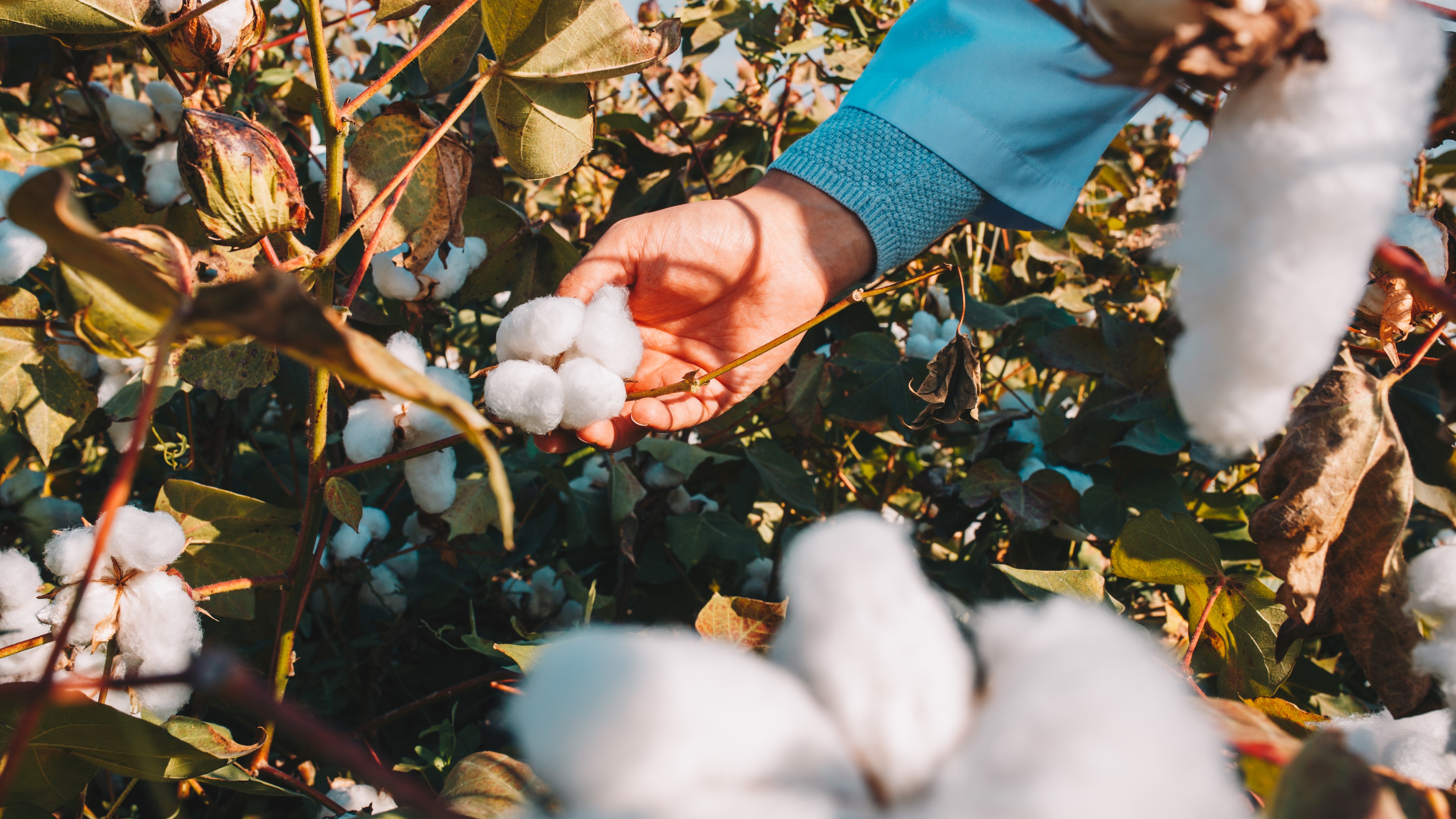 SustainableManufacturing